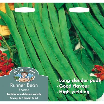 RUNNER BEAN Enorma - image 1