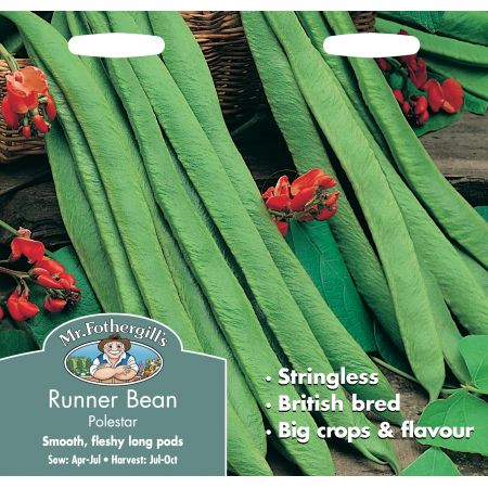 RUNNER BEAN Polestar - image 1
