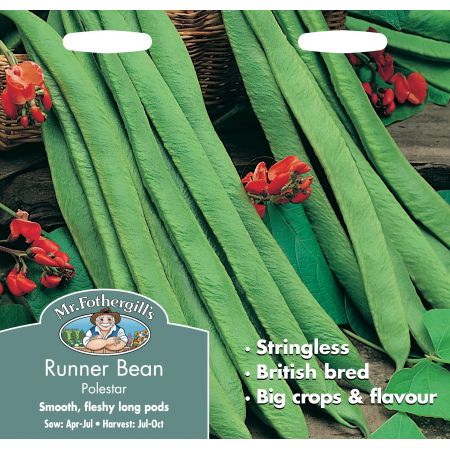 RUNNER BEAN Polestar - image 1