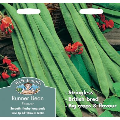 RUNNER BEAN Polestar - image 1