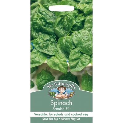 SPINACH Samish F1 - image 2