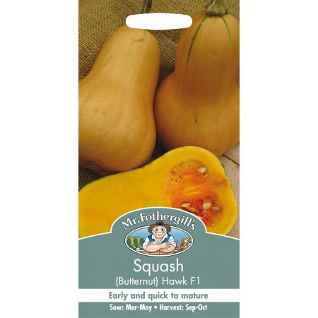 SQUASH (Butternut) Hawk F1 - image 1