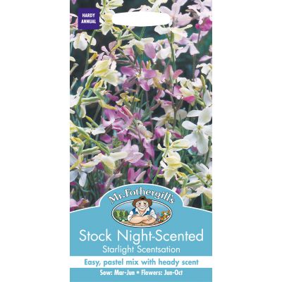 STOCK NIGHT SCENTED Starlight Scentsation - image 2