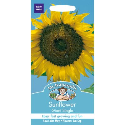 SUNFLOWER Giant Single - image 1