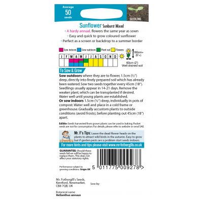 SUNFLOWER Sunburst Mixed - image 2