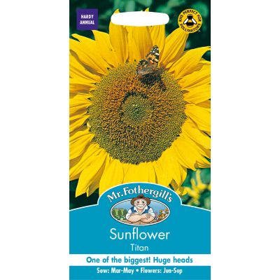 SUNFLOWER Titan - image 2