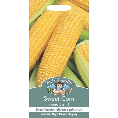 SWEET CORN Incredible F1 - image 1