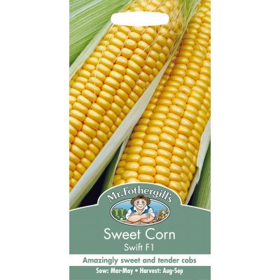 SWEET CORN Swift F1 - image 2
