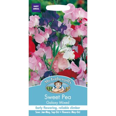 SWEET PEA Galaxy - image 2