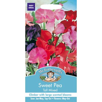 SWEET PEA Tall Mixed - image 2