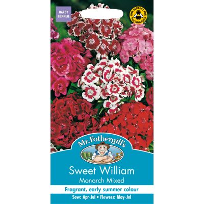 SWEET WILLIAM Monarch Mixed - image 2