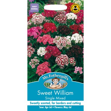 SWEET WILLIAM Single Mixed - image 1