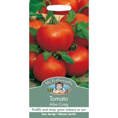 TOMATO Ailsa Craig - image 2