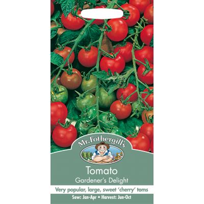 TOMATO Gardeners Delight - image 2