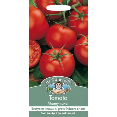 TOMATO Moneymaker - image 1