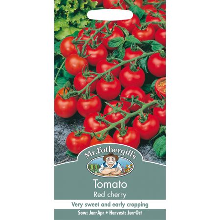 TOMATO Red Cherry - image 1