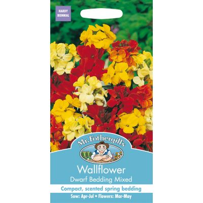 WALLFLOWER Dwarf Bedding Mixed - image 1