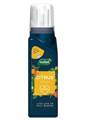 Citrus Feed Concentrate 200ml