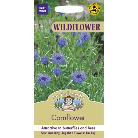 WF Cornflower - image 1